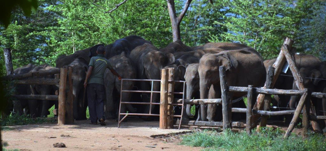 Sri Lanka Water Sports
