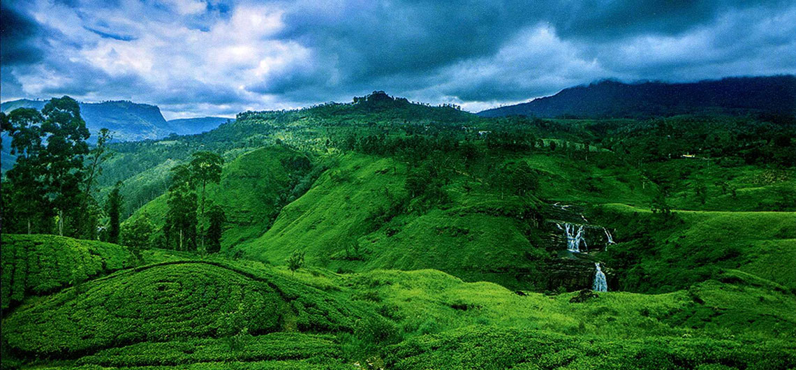Nuwara Eliya Sri Lanka