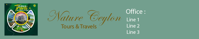 Holidays in Sri Lanka, Personal drivers in Sri Lanka, Nature Ceylon  Travels, Nature Ceylon Tours and Travels