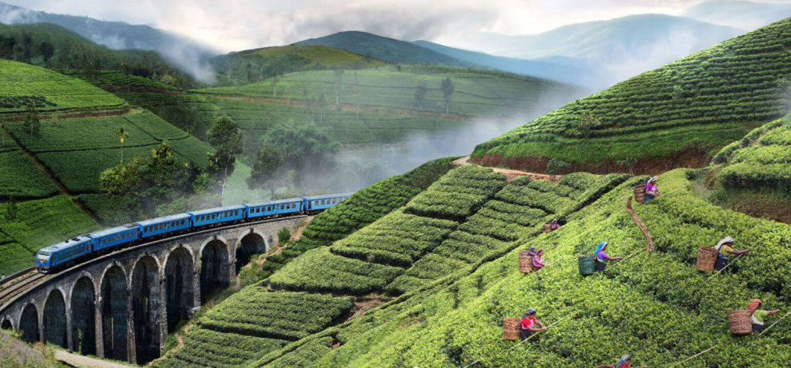 Holidays in Sri Lanka, Nature Ceylon Tours & Travels